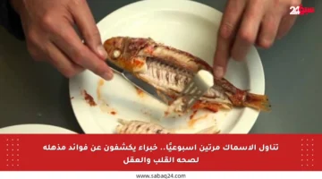 تناول الأسماك مرتين أسبوعيًا.. خبراء يكشفون عن فوائد مذهلة لصحة القلب والعقل